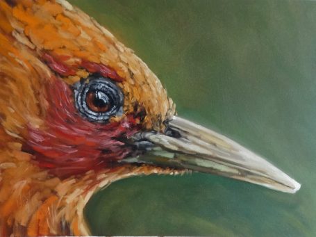 Woodpecker