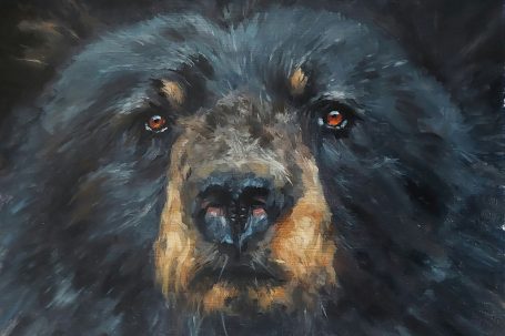 Bear
