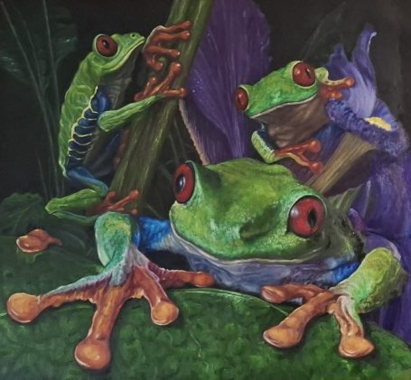 Group of Frogs