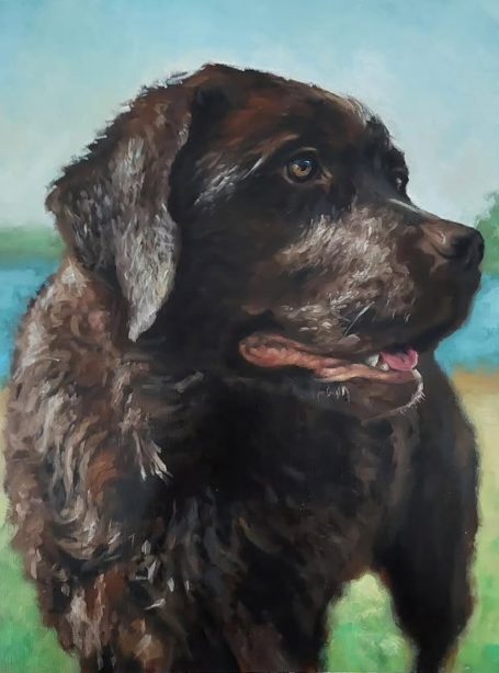 Dog