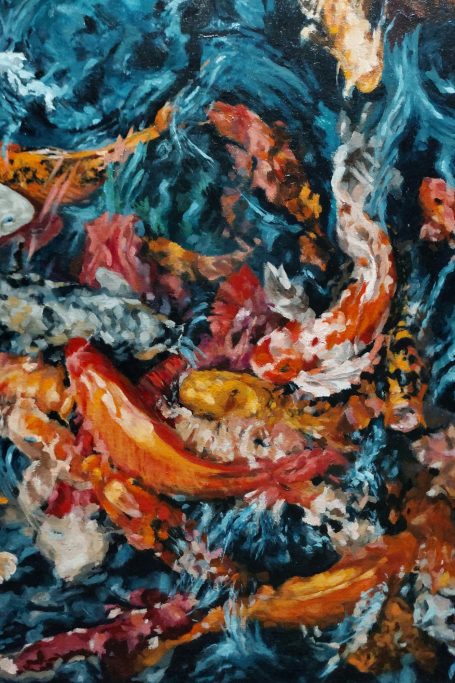 Koi Fish