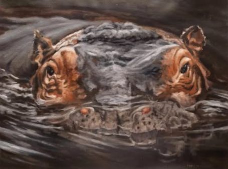 Hippopotamus