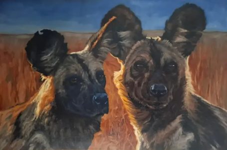 Wild Dogs