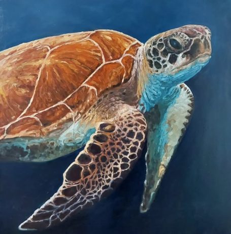 Sea Turtle