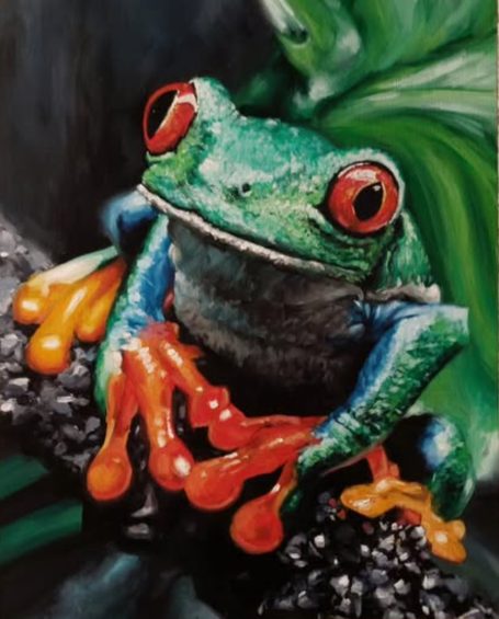 Tropical Frog